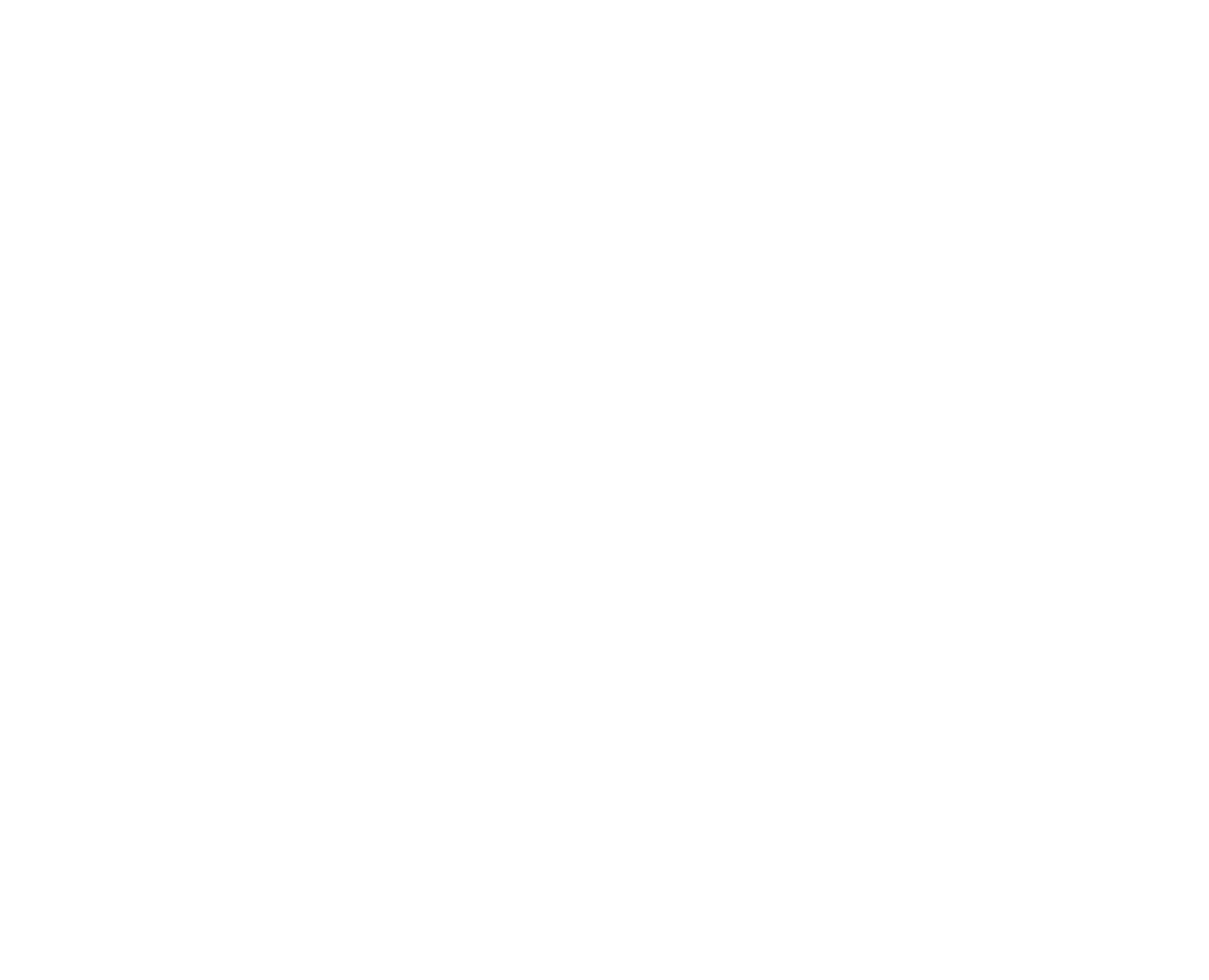 Logo SkyFix Branco