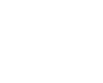 Logo SkyFix Branco